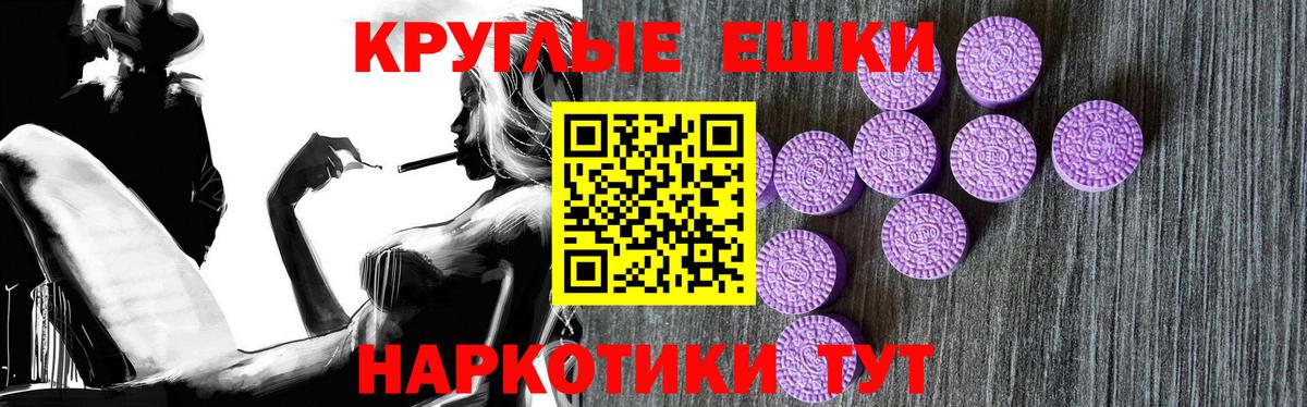 Сунжа  Ecstasy Cube  Вход с VPN  Экстази Philipp Plein 