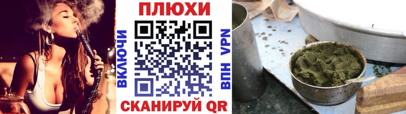 ГАШ ice o lator  Сунжа 