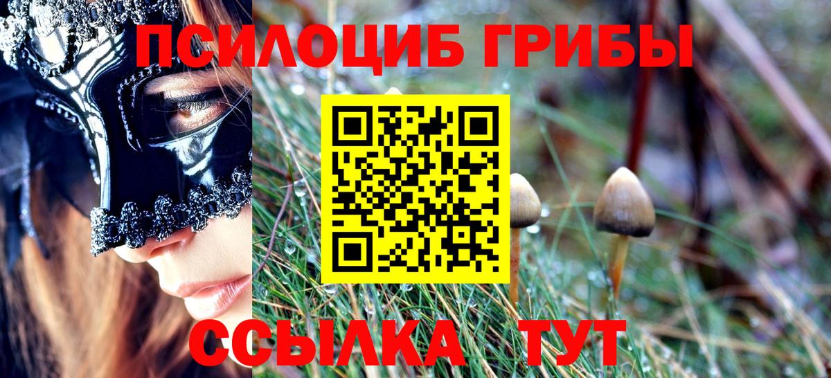 Псилоцибиновые грибы Cubensis  Вход с VPN  Сунжа  Галлюциногенные грибы MAGIC MUSHROOMS 