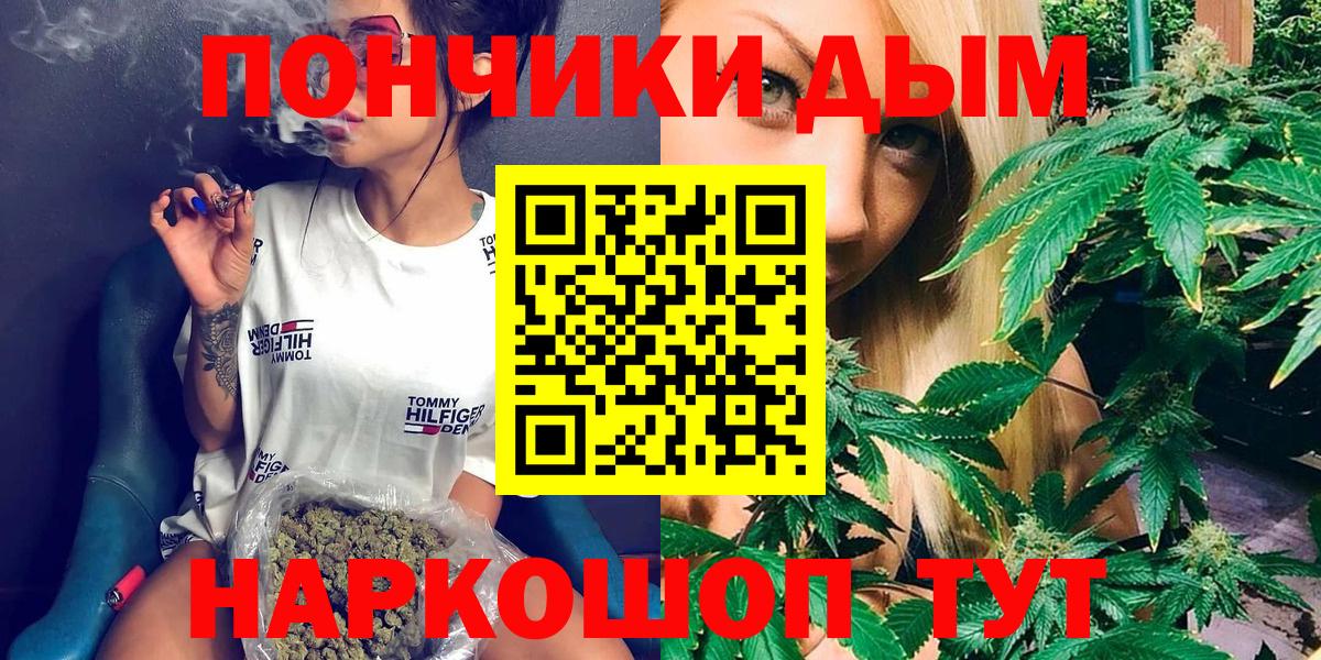 Бошки Шишки планчик Сунжа